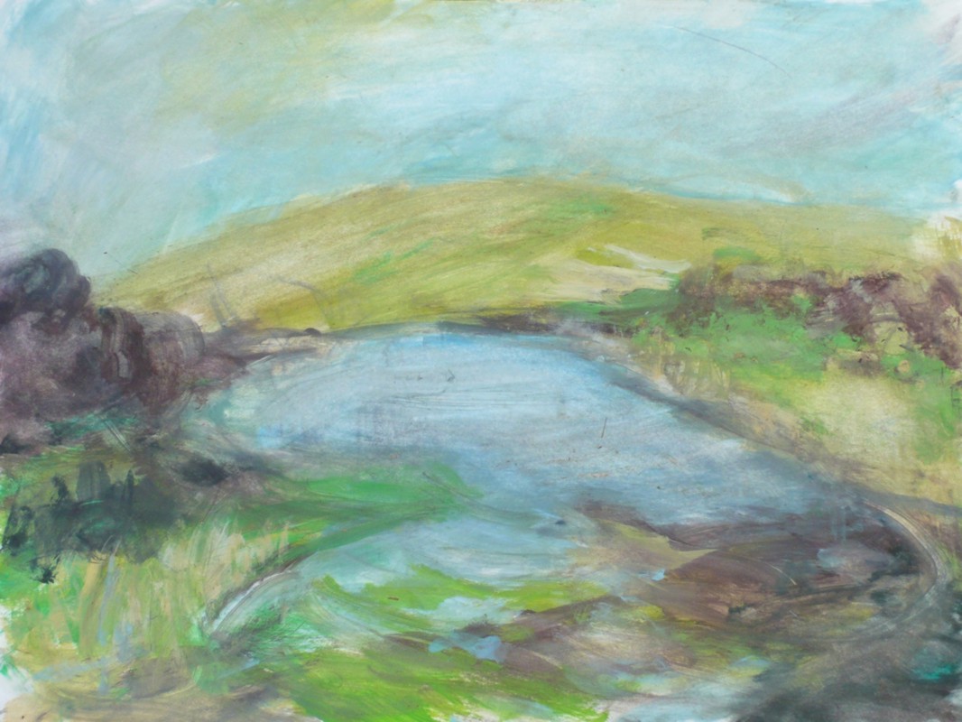 Pool near Ireland, 2012 I
