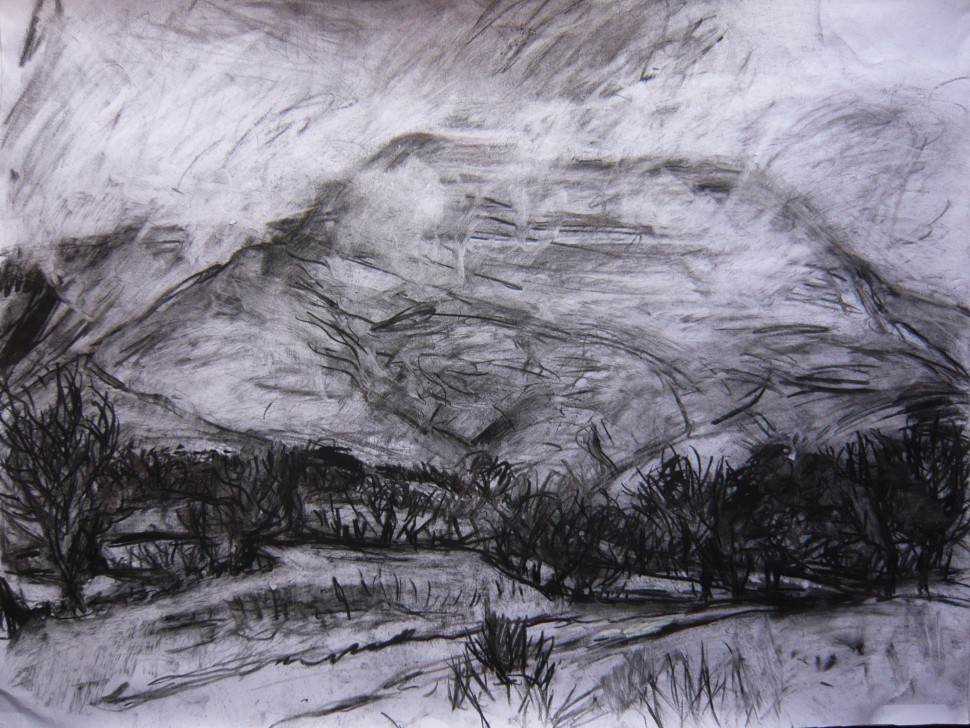 Ydas, Black Mountains - February 2009