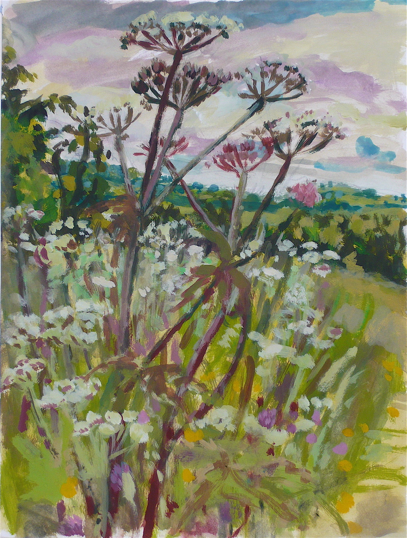 Hogweed, Lower Way Farm - June 2009