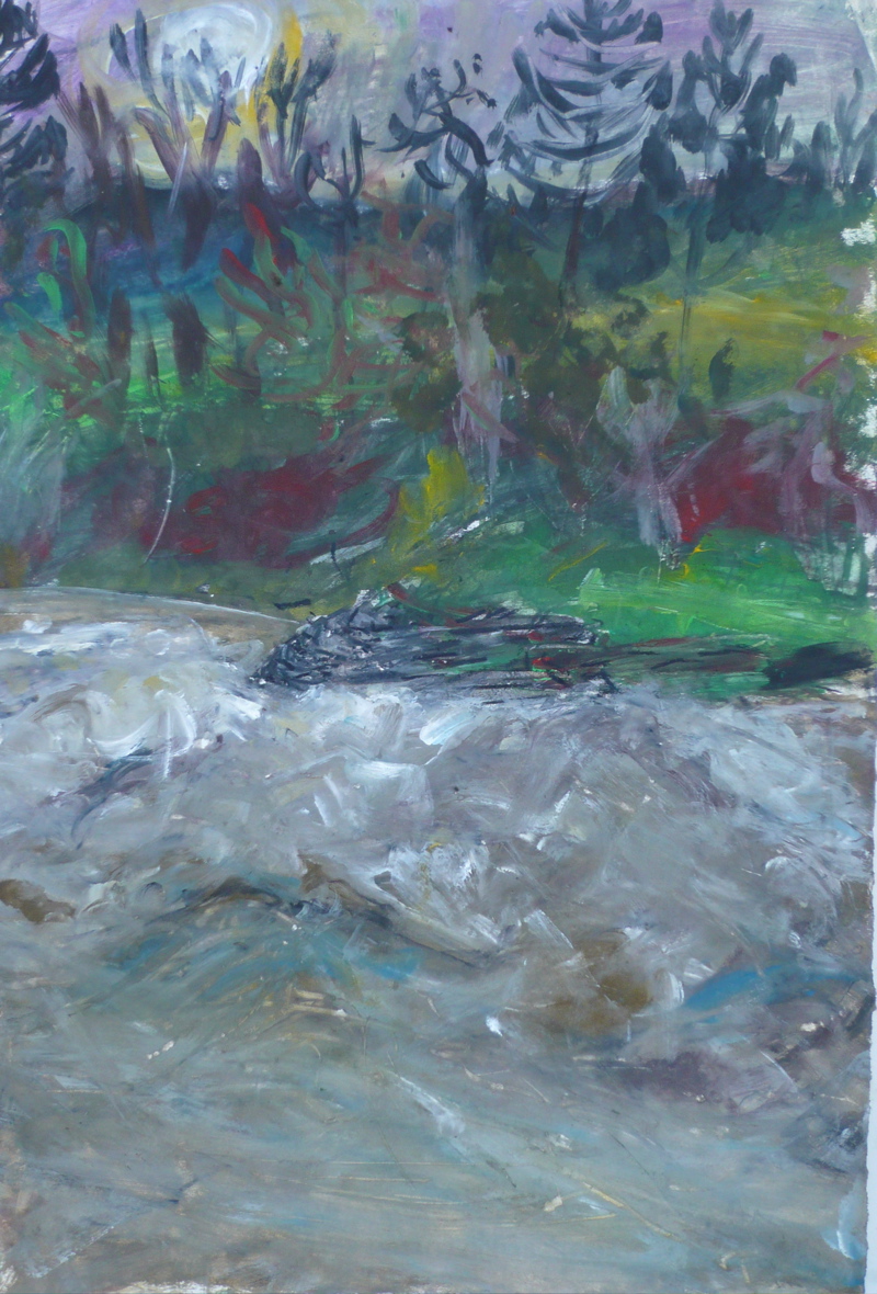 The River Wye at LLanstephan II - December 2009