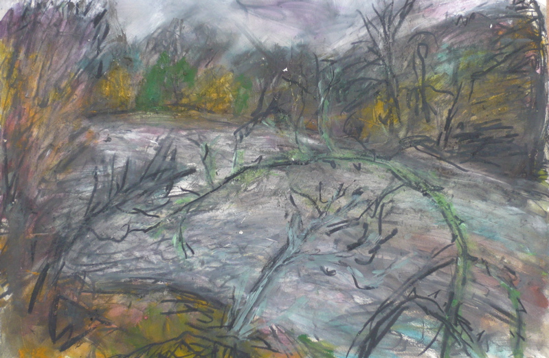 The River Wye at LLanstephan III - December 2009
