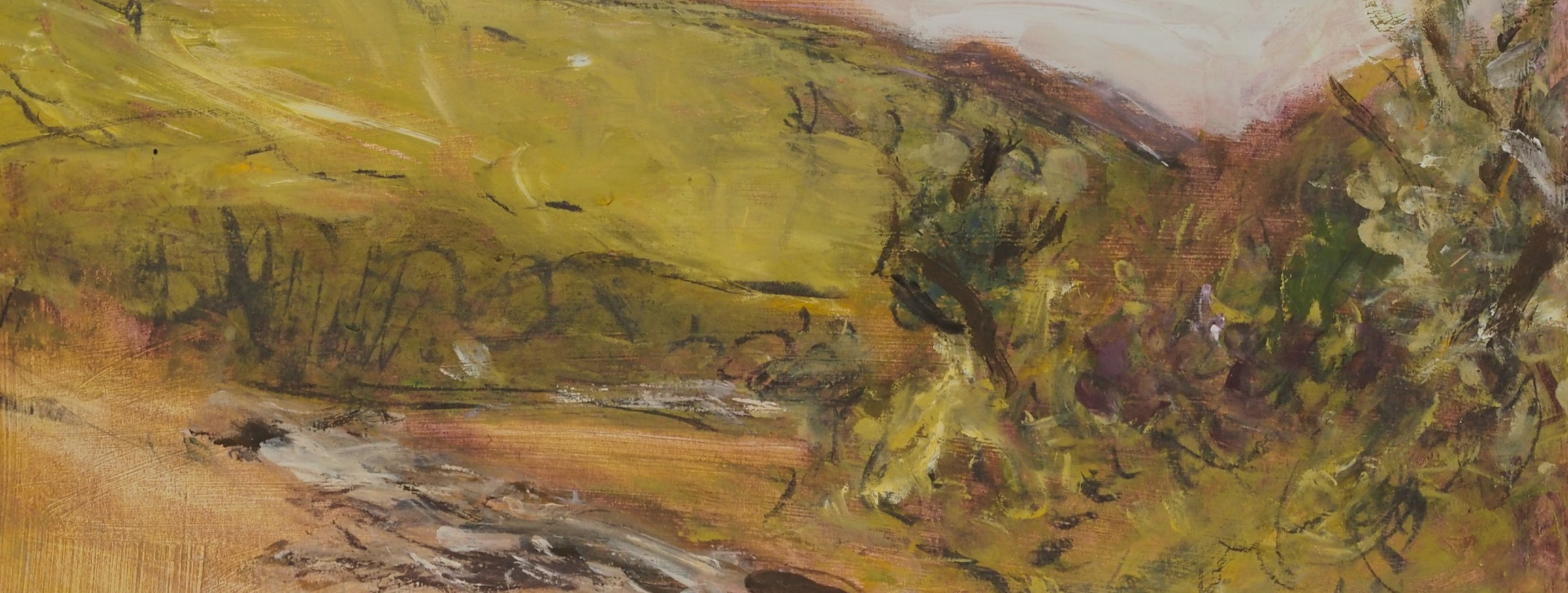 Stream in the Black Mountains