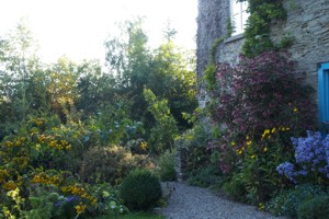 The garden, late summer